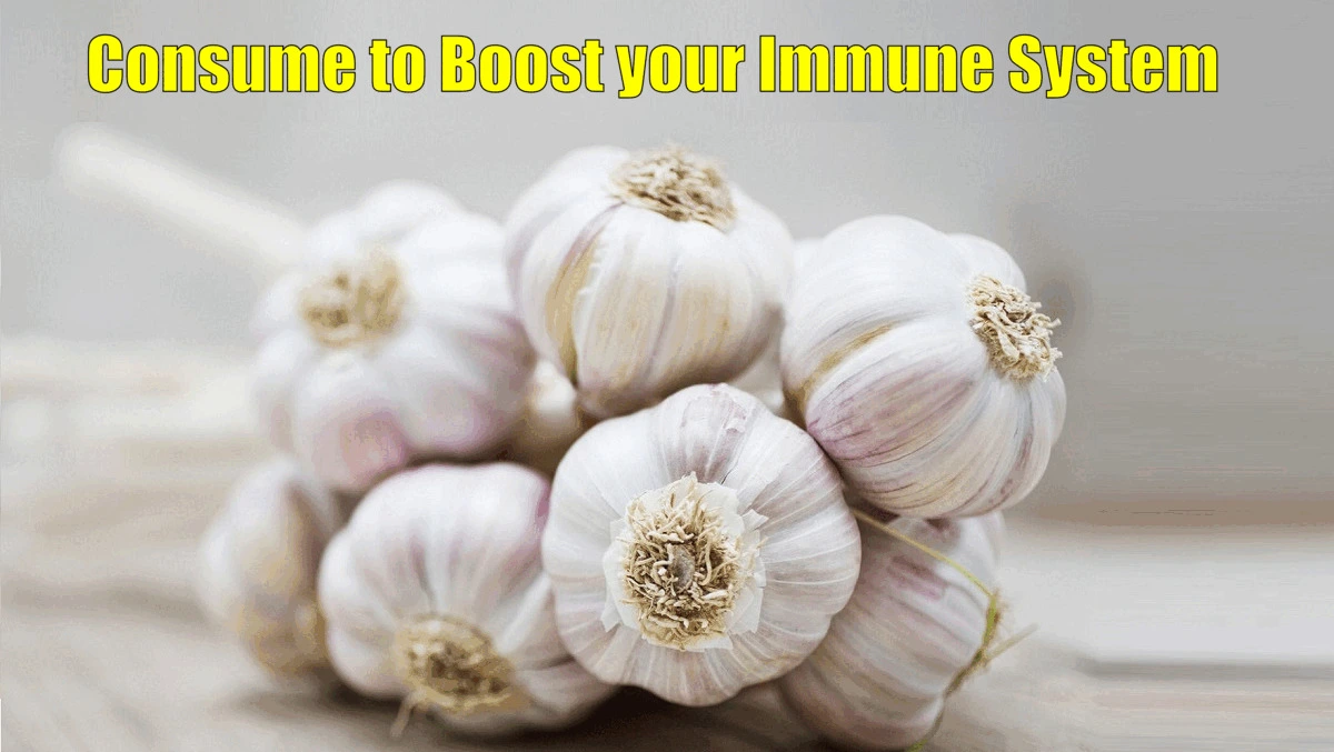 Garlic Benefits: Nature's Immunity Shield