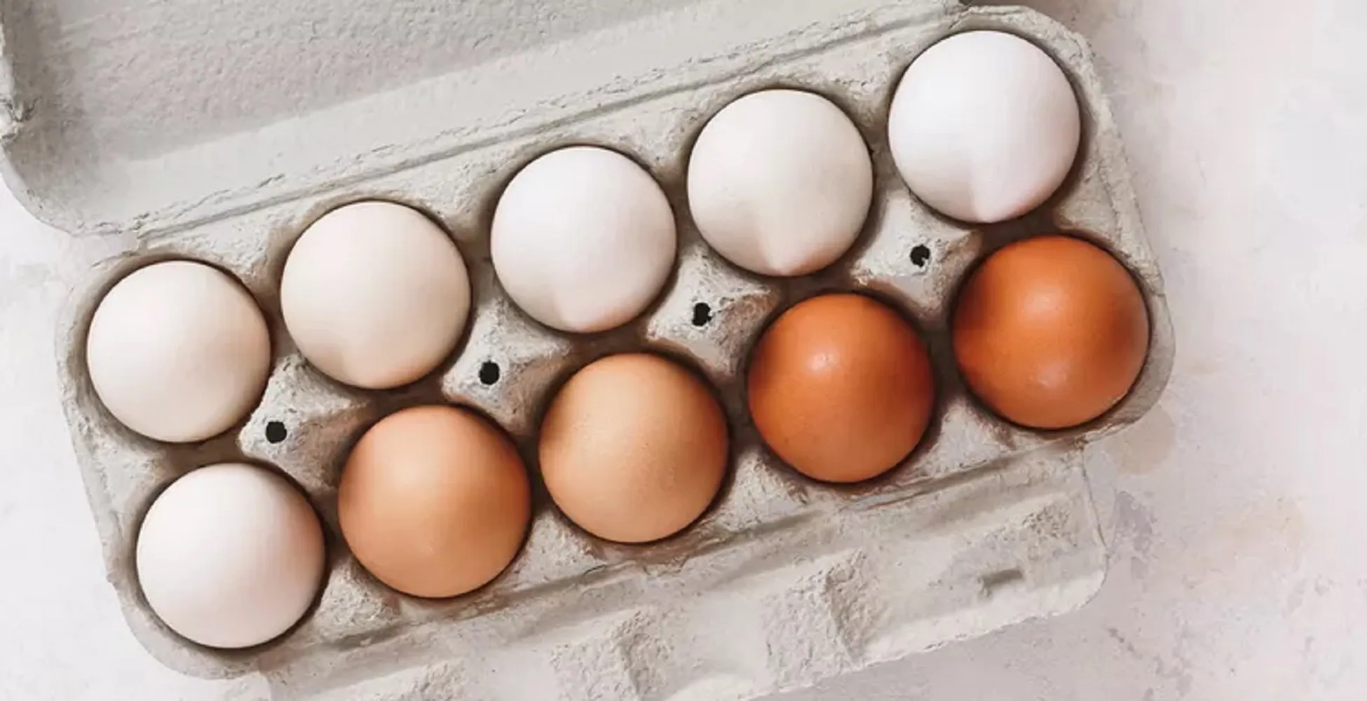 Omelette-ing Opportunities: Harnessing Egg Power 