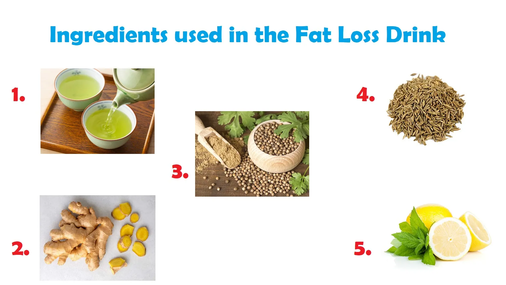 Fat Loss Ingredients: Green Tea, Ginger, and More!