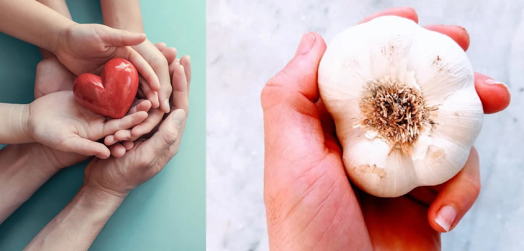 Heart Guardian: The Power of Garlic Benefits